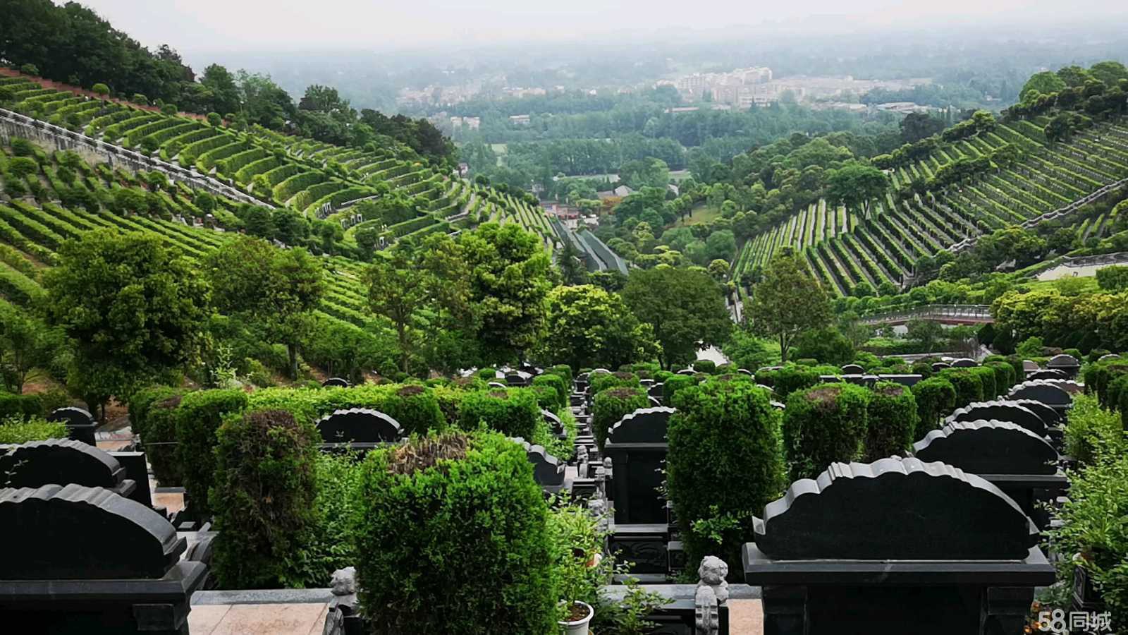 白塔山公墓实景5