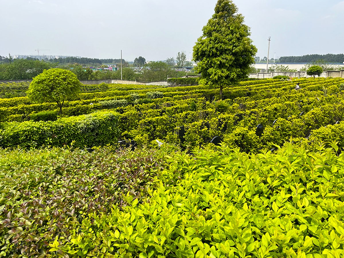 石岭公墓实景