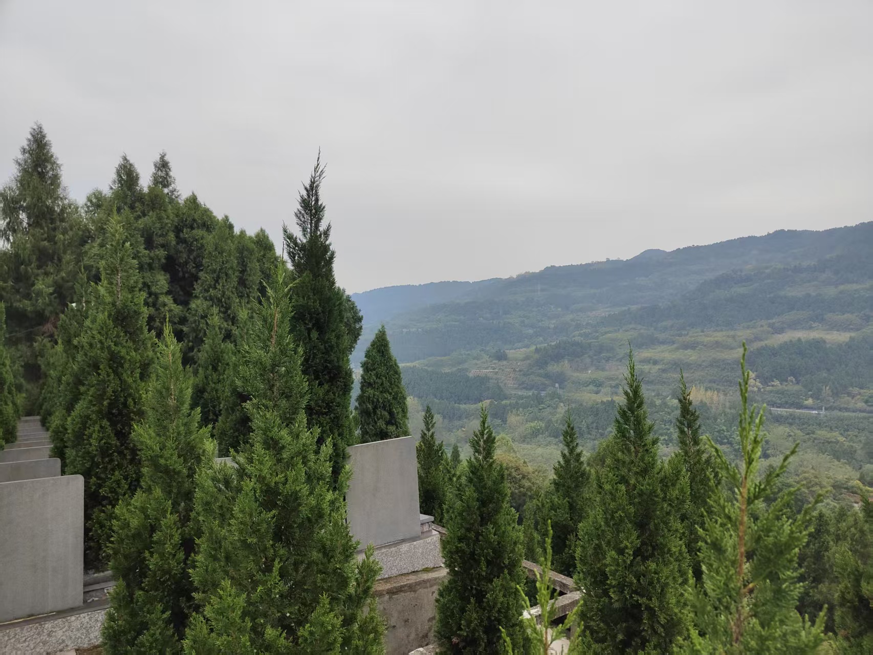 金龙山公墓实景4