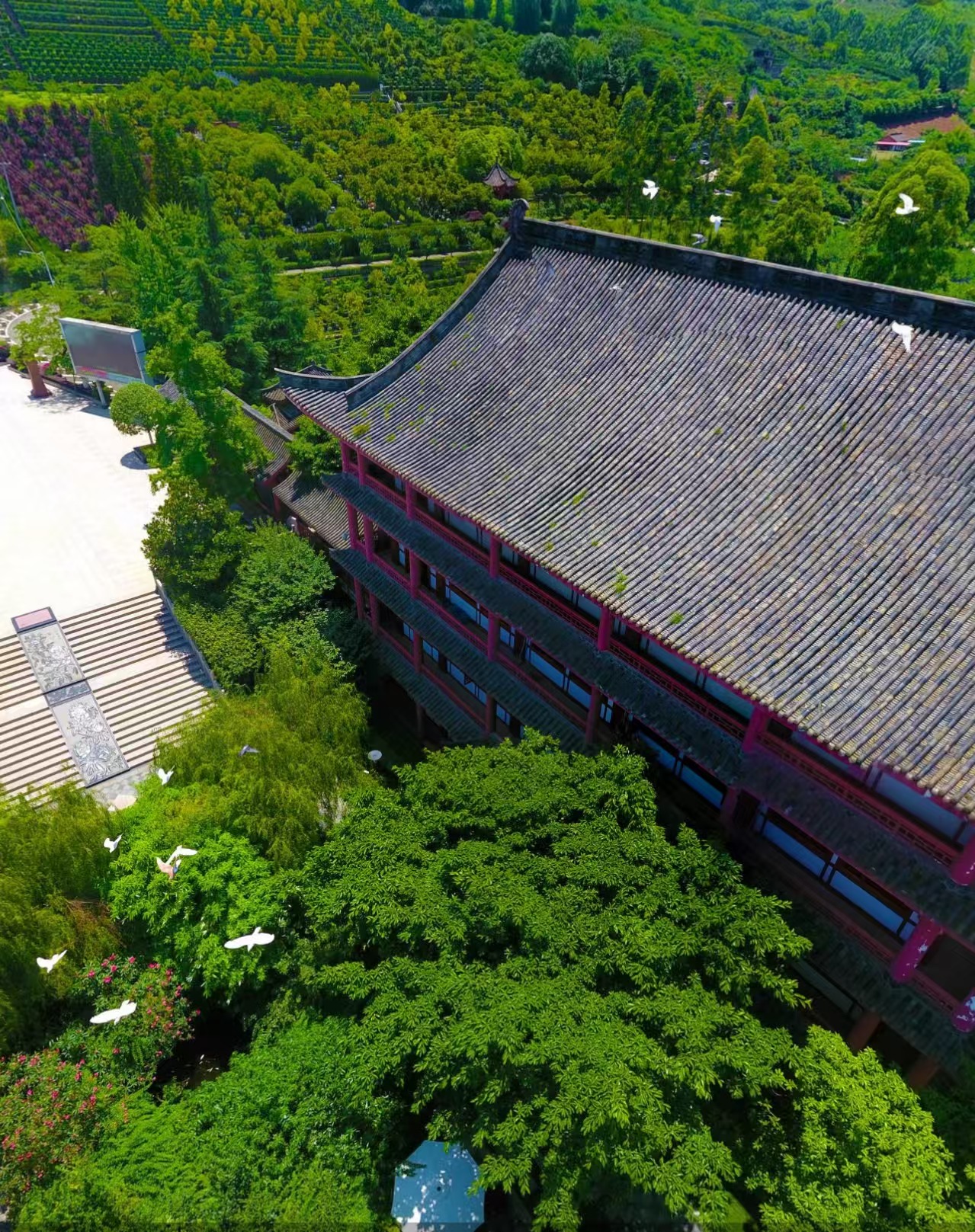 长松寺公墓实景