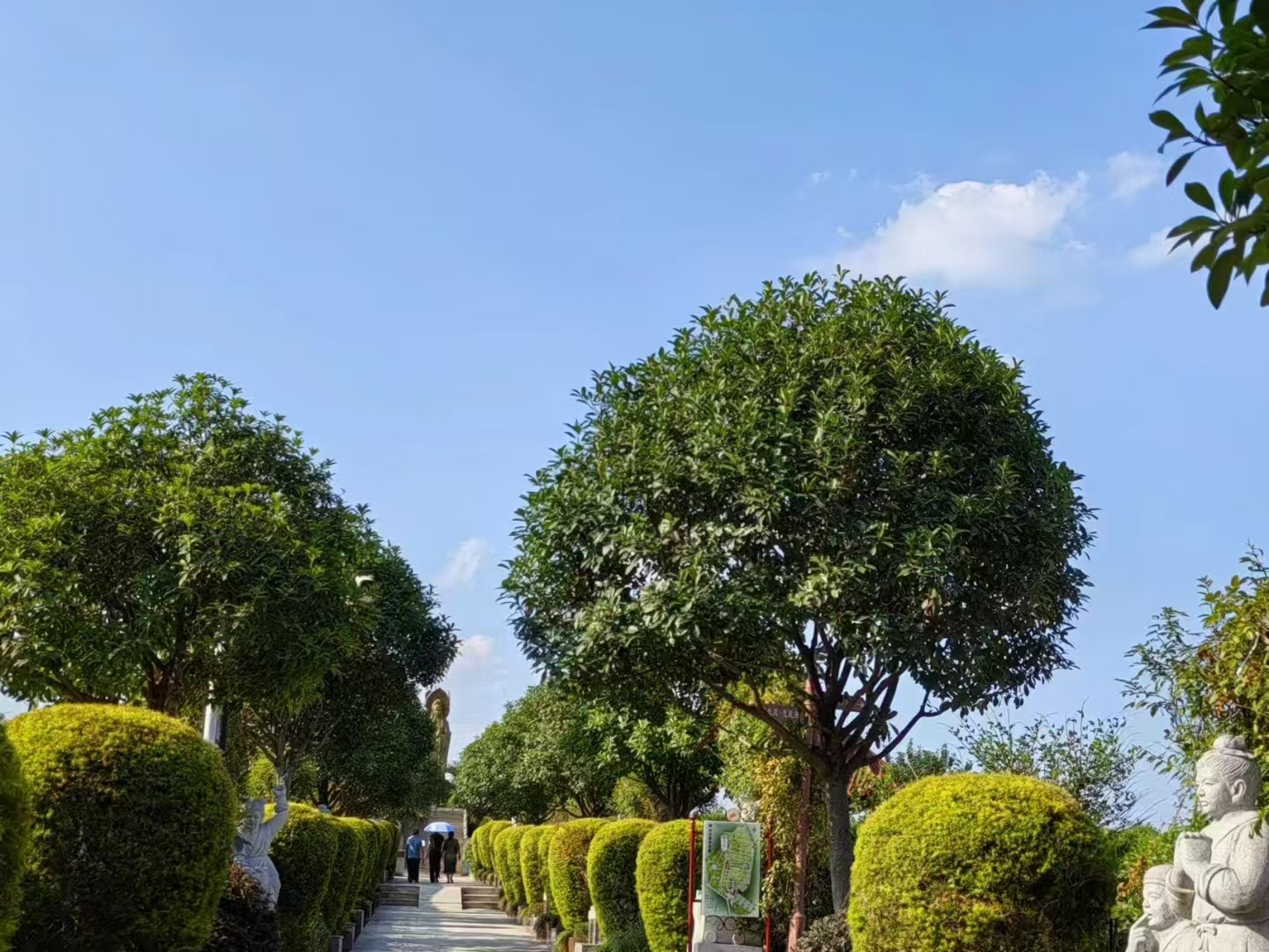 院山公墓实景